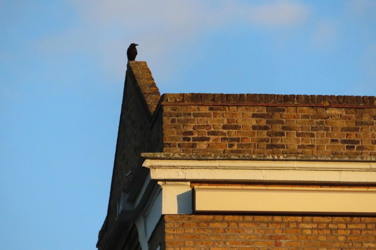 Совместное планирование общих и личных денег